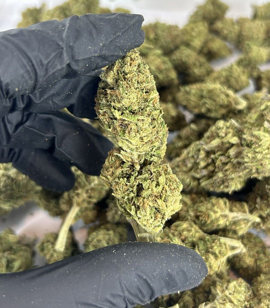 Og Kush