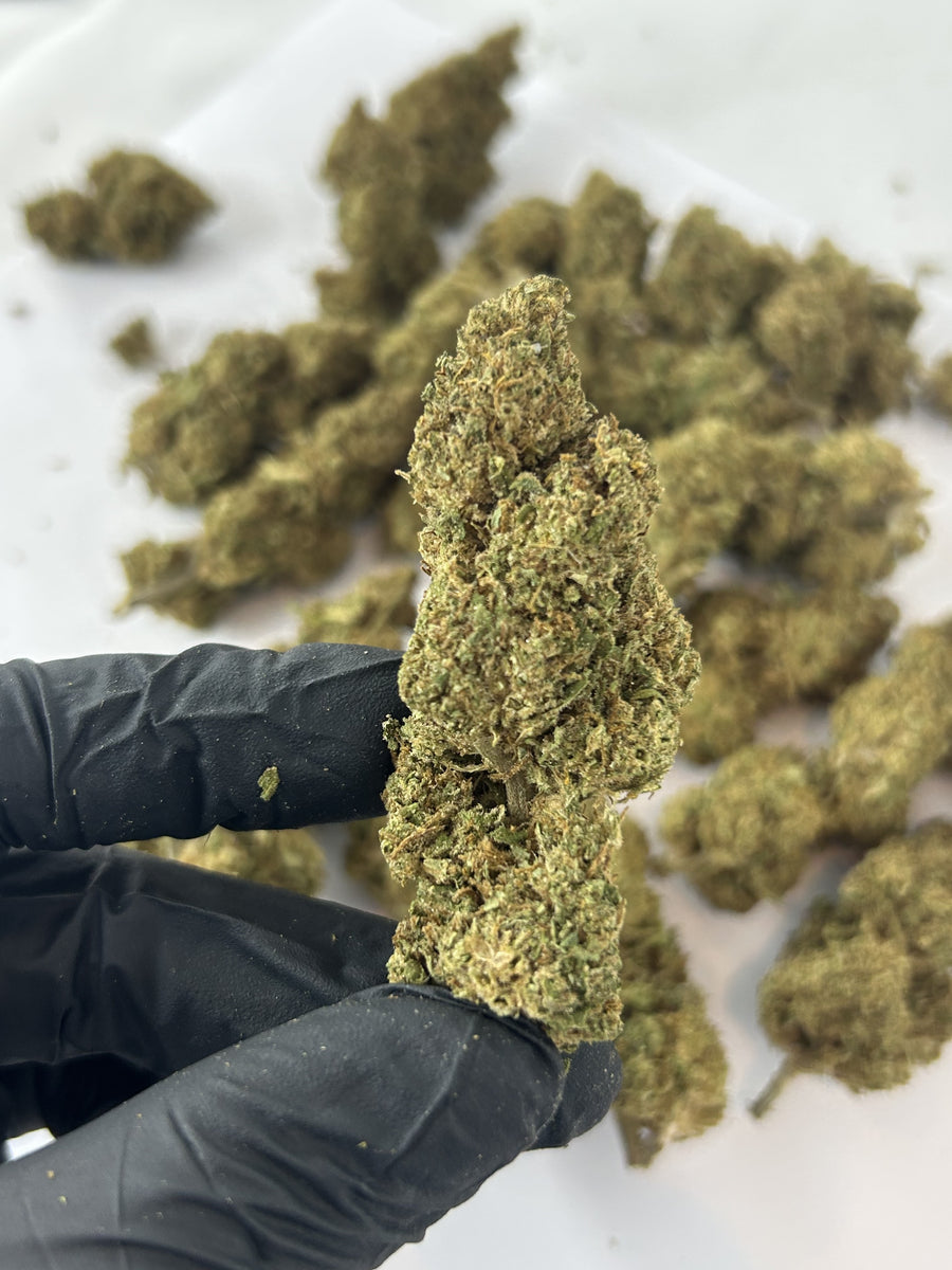 Sour Diesel