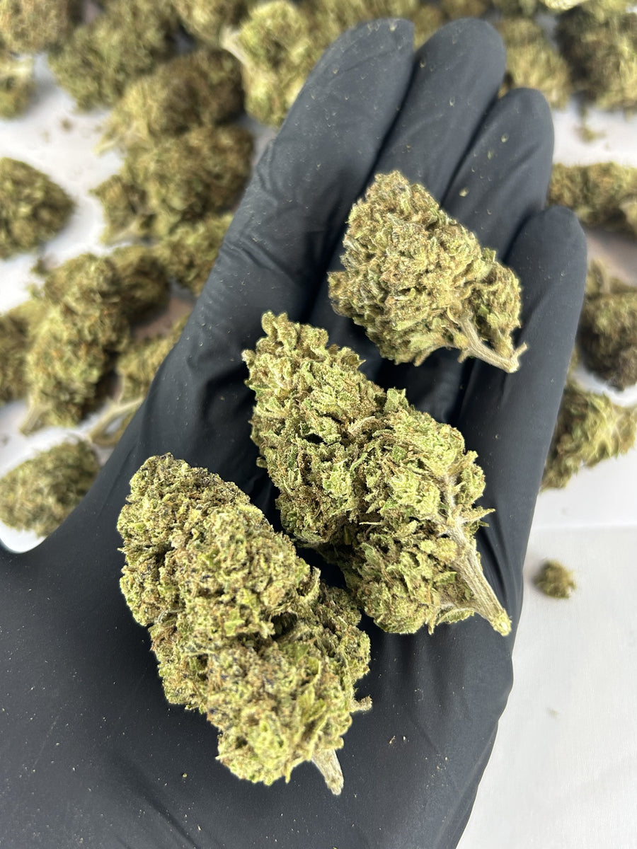 Ak 47