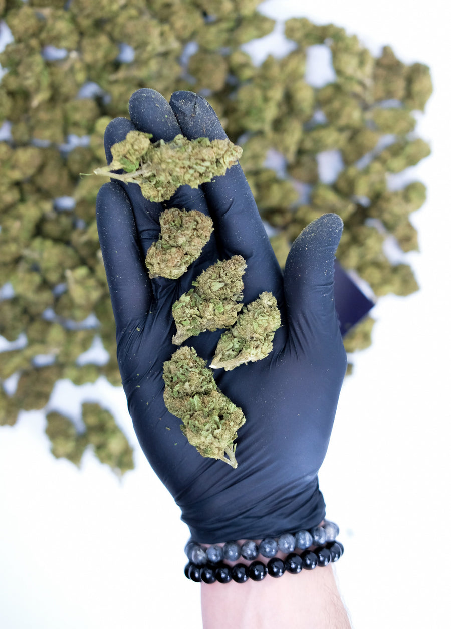 Gorilla Glue