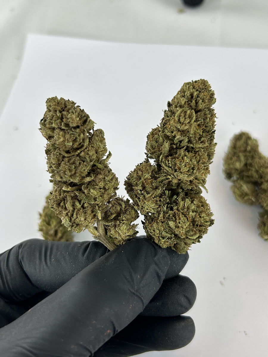 Green Crack