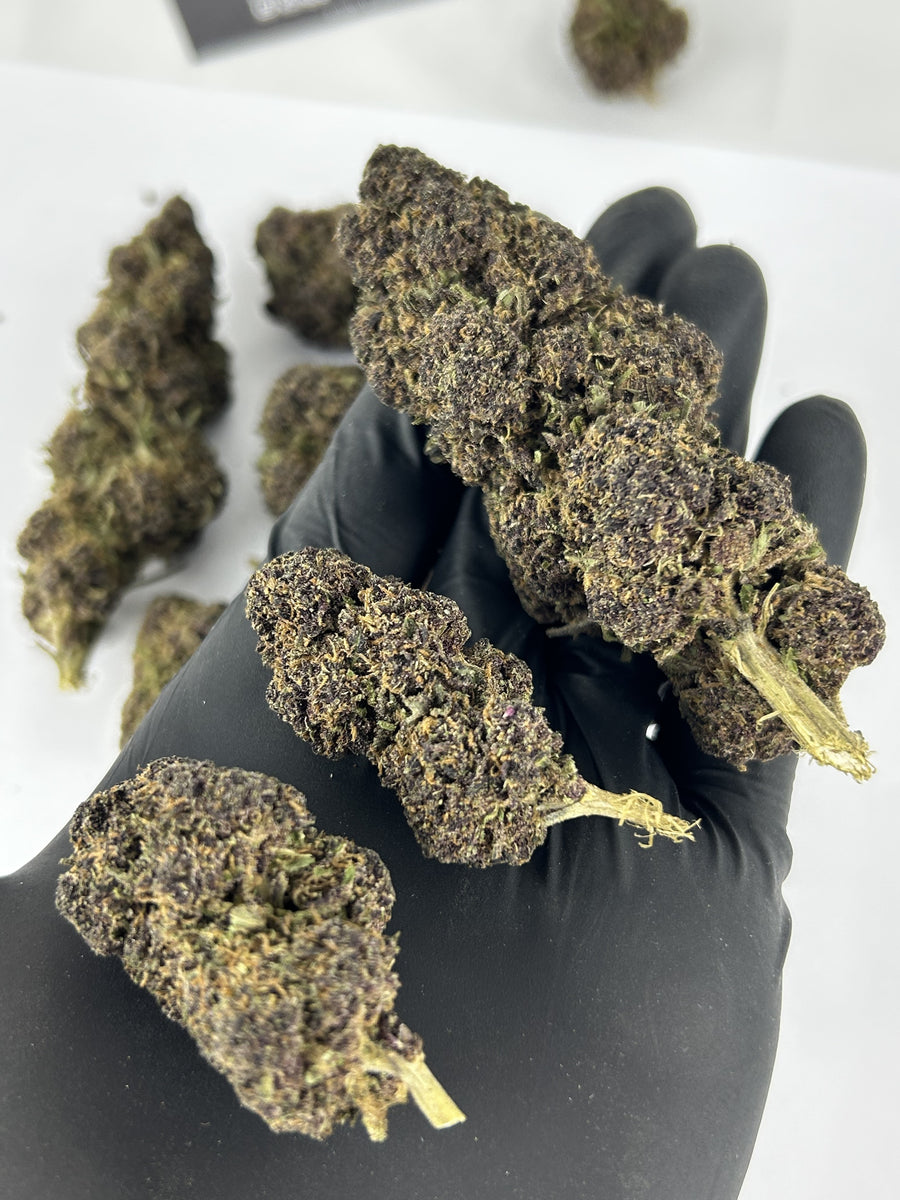 Purple Haze
